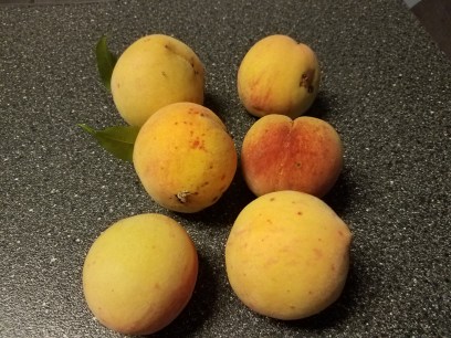 peaches